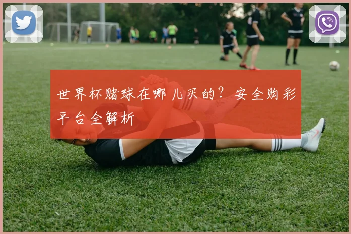 世界杯赌球在哪儿买的？安全购彩平台全解析