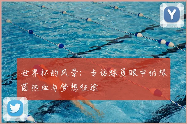 世界杯的风景：专访球员眼中的绿茵热血与梦想征途