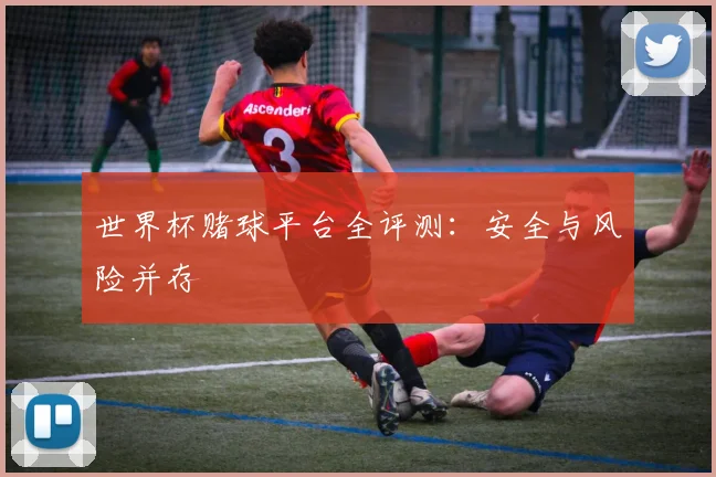 世界杯赌球平台全评测:安全与风险并存