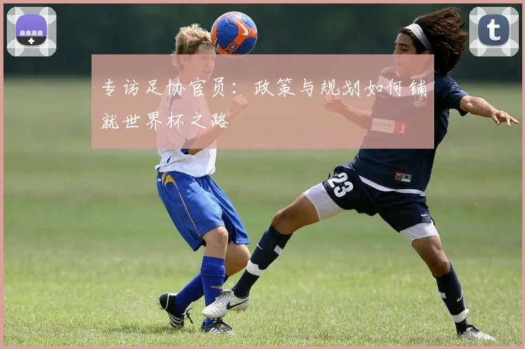 专访足协官员：政策与规划如何铺就世界杯之路