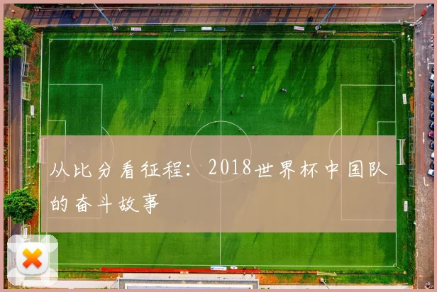 从比分看征程:2018世界杯中国队的奋斗故事
