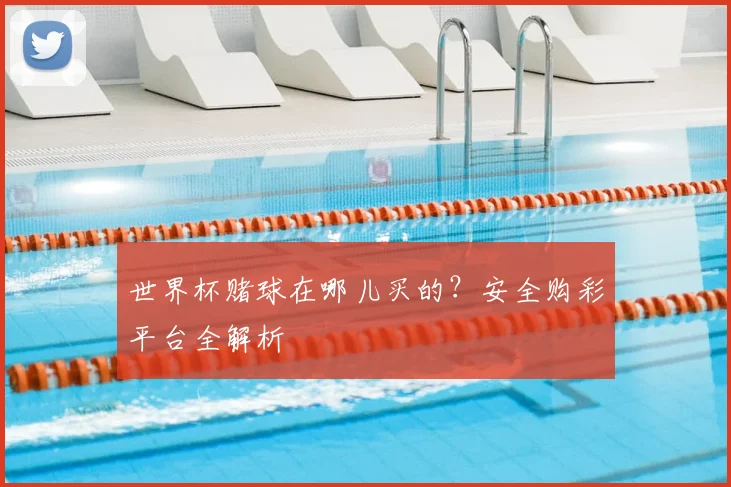 世界杯赌球在哪儿买的？安全购彩平台全解析