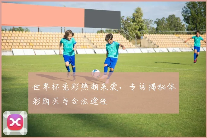 世界杯竞彩热潮来袭，专访揭秘体彩购买与合法途径