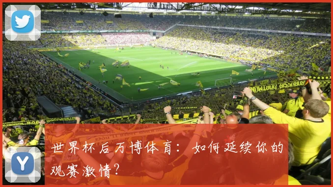 世界杯后万博体育：如何延续你的观赛激情？