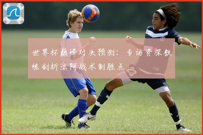 世界杯巅峰对决预测：专访资深教练剖析法阿战术制胜点