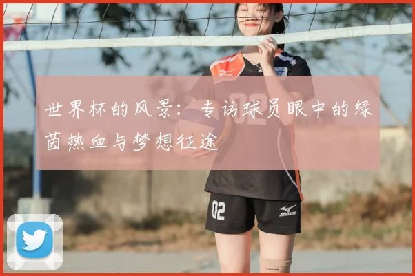 世界杯的风景：专访球员眼中的绿茵热血与梦想征途