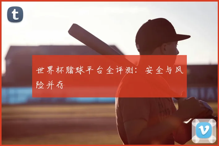 世界杯赌球平台全评测：安全与风险并存