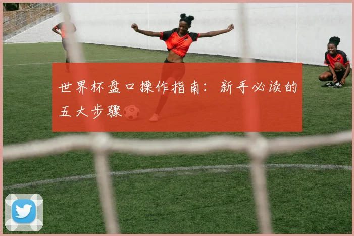 世界杯盘口操作指南：新手必读的五大步骤