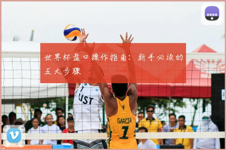 世界杯盘口操作指南：新手必读的五大步骤